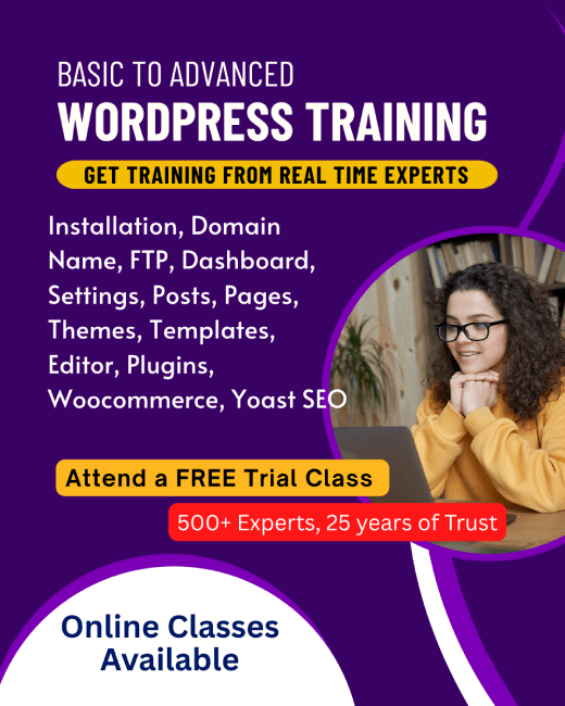 Wordpress Training in France