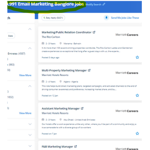Email Marketing internship jobs in Nice