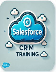 SalesForce Training in strasbourg